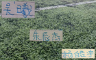 亚运会申花三将！ 中国莫德里奇跟朱辰杰出场一样多 他们能带铜牌凯旋吗